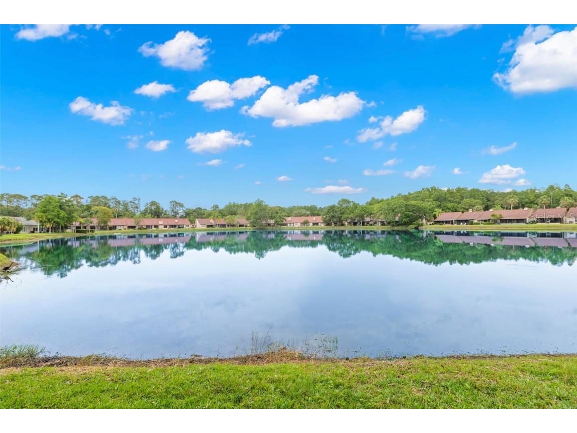 3399 Mermoor Drive #309 Palm Harbor FL 34685 TB8412796 image32