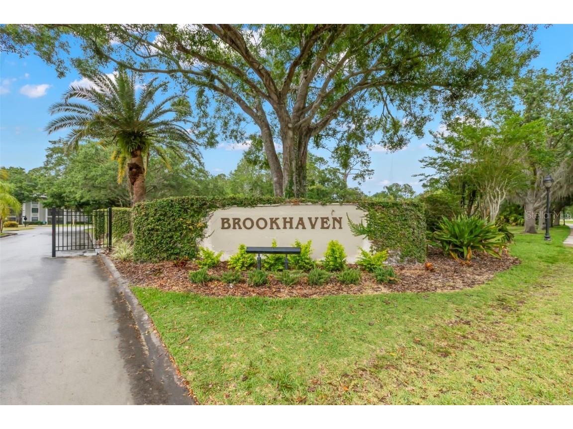 3399 Mermoor Drive #309 Palm Harbor FL 34685 TB8412796 image33