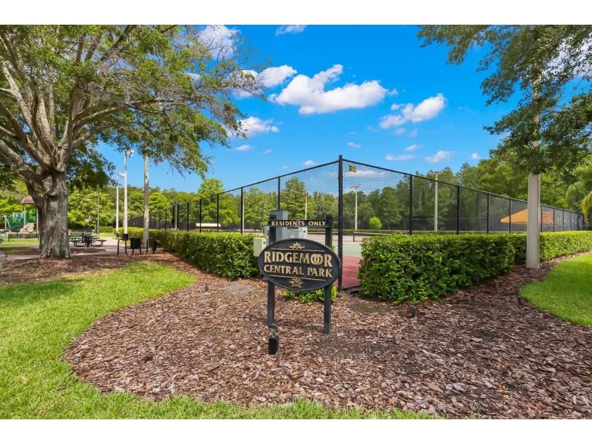 3399 Mermoor Drive #309 Palm Harbor FL 34685 TB8412796 image39