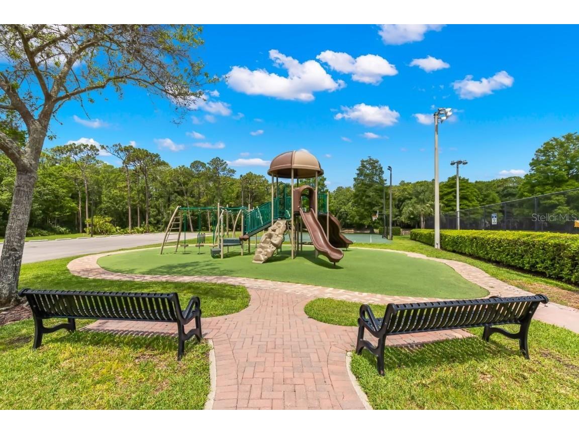 3399 Mermoor Drive #309 Palm Harbor FL 34685 TB8412796 image41