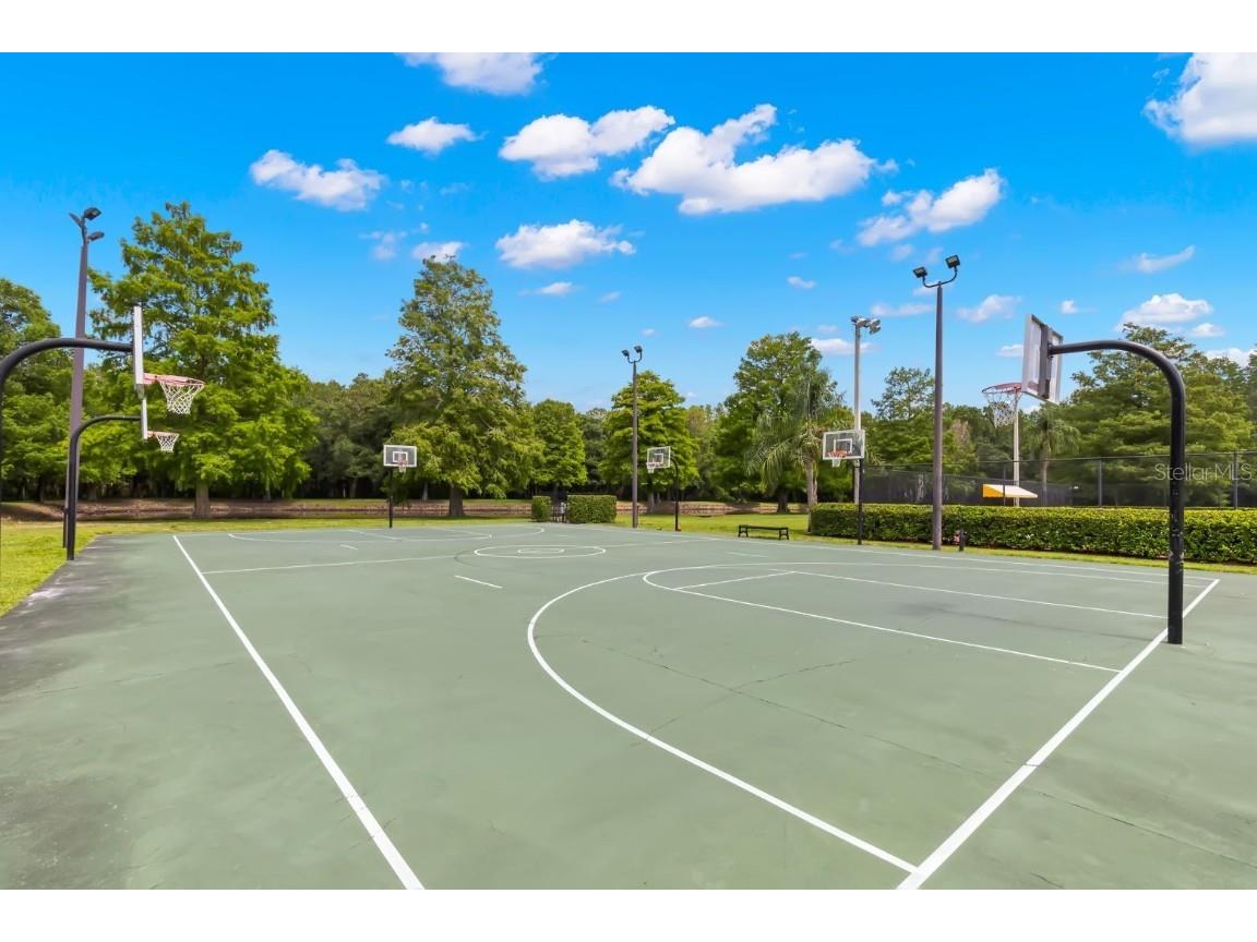 3399 Mermoor Drive #309 Palm Harbor FL 34685 TB8412796 image42