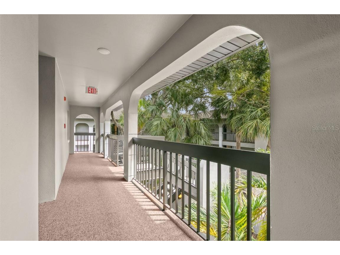 3399 Mermoor Drive #309 Palm Harbor FL 34685 TB8412796 image5