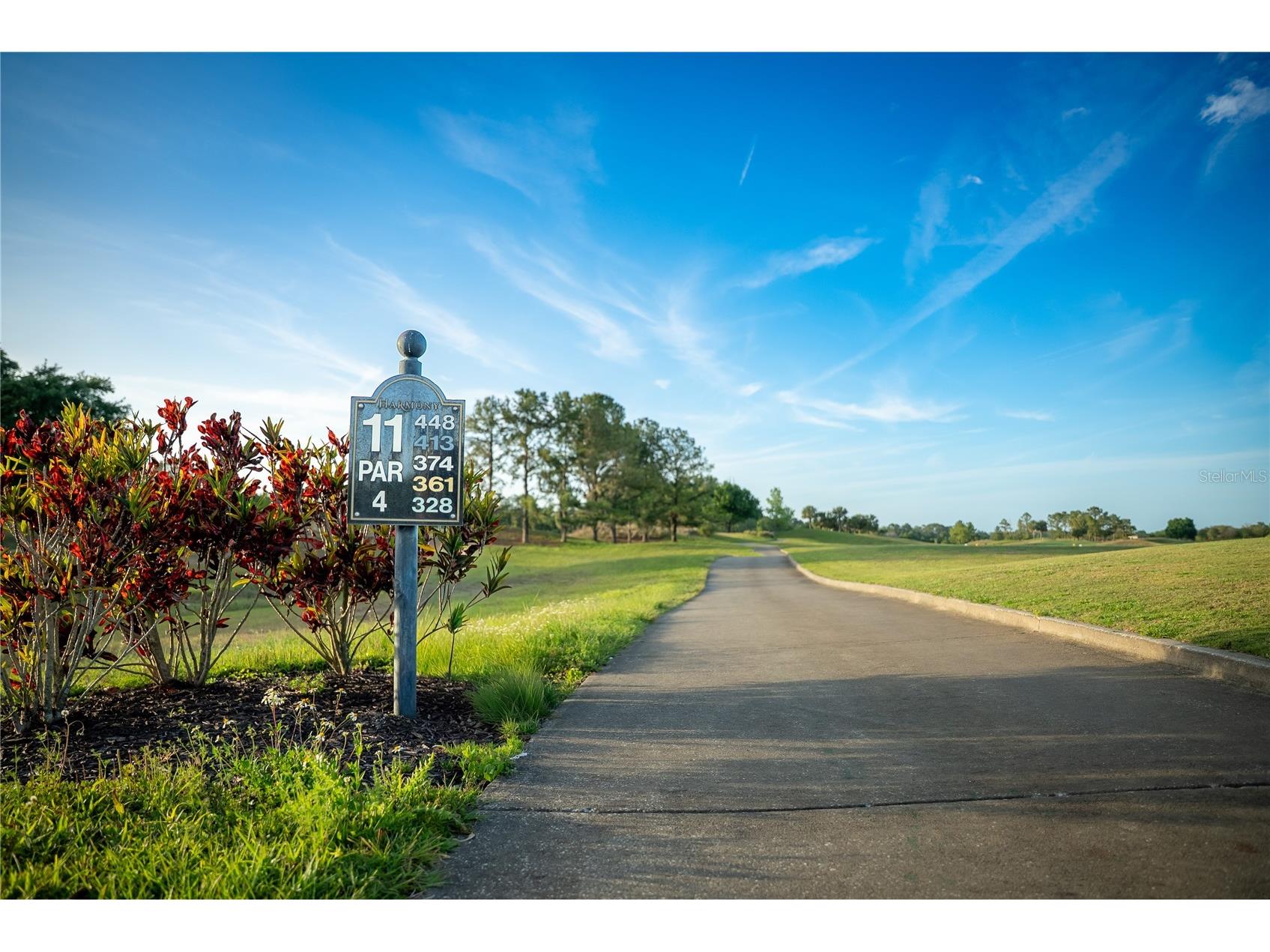 3399 Sagebrush Street Harmony FL 34773 S5147072 image45