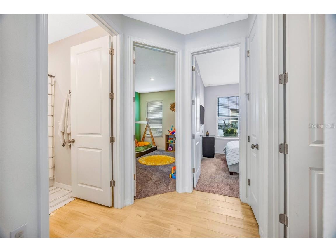 33995 Astoria Circle Wesley Chapel FL 33545 TB8452869 image20