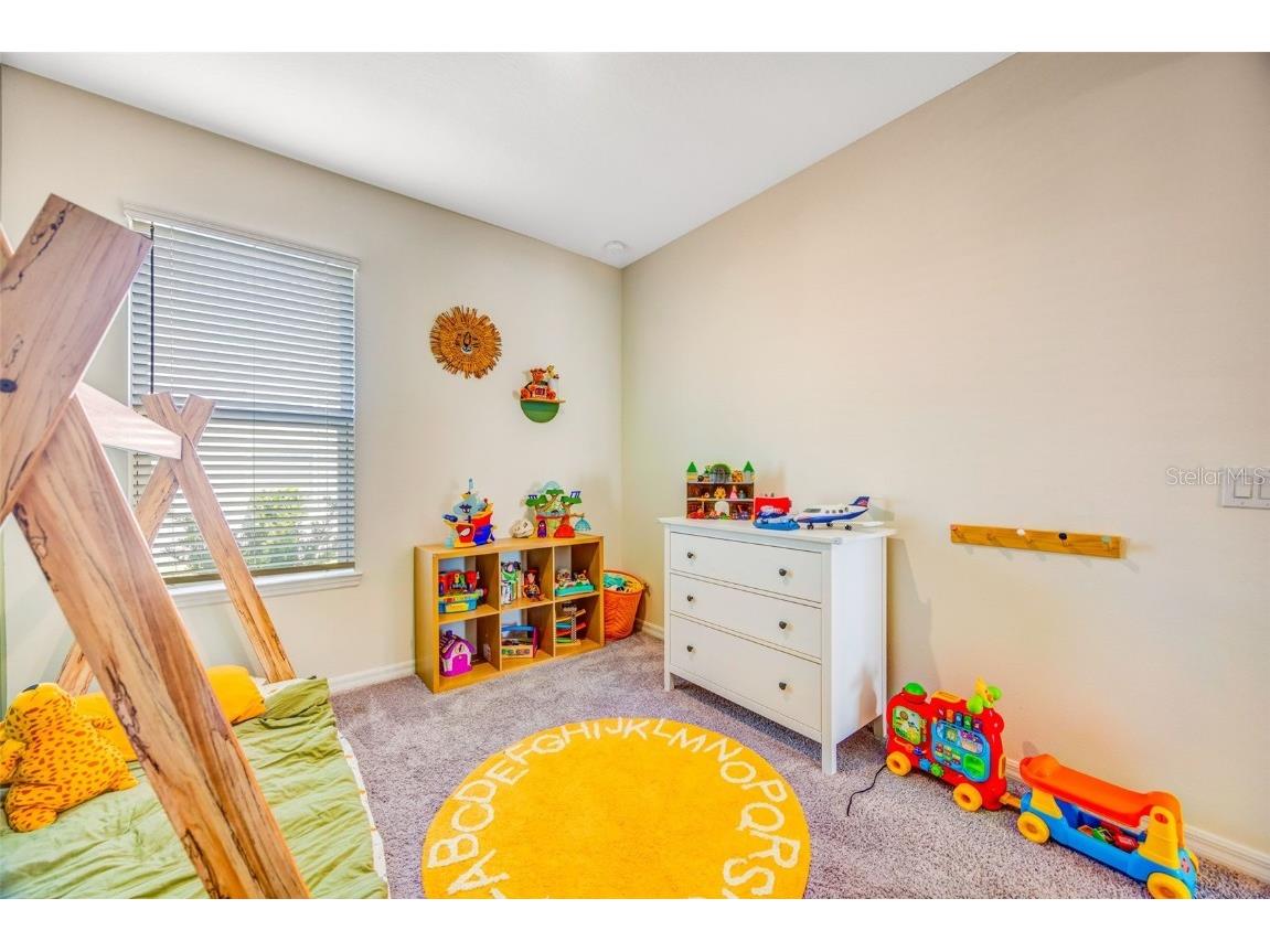 33995 Astoria Circle Wesley Chapel FL 33545 TB8452869 image23