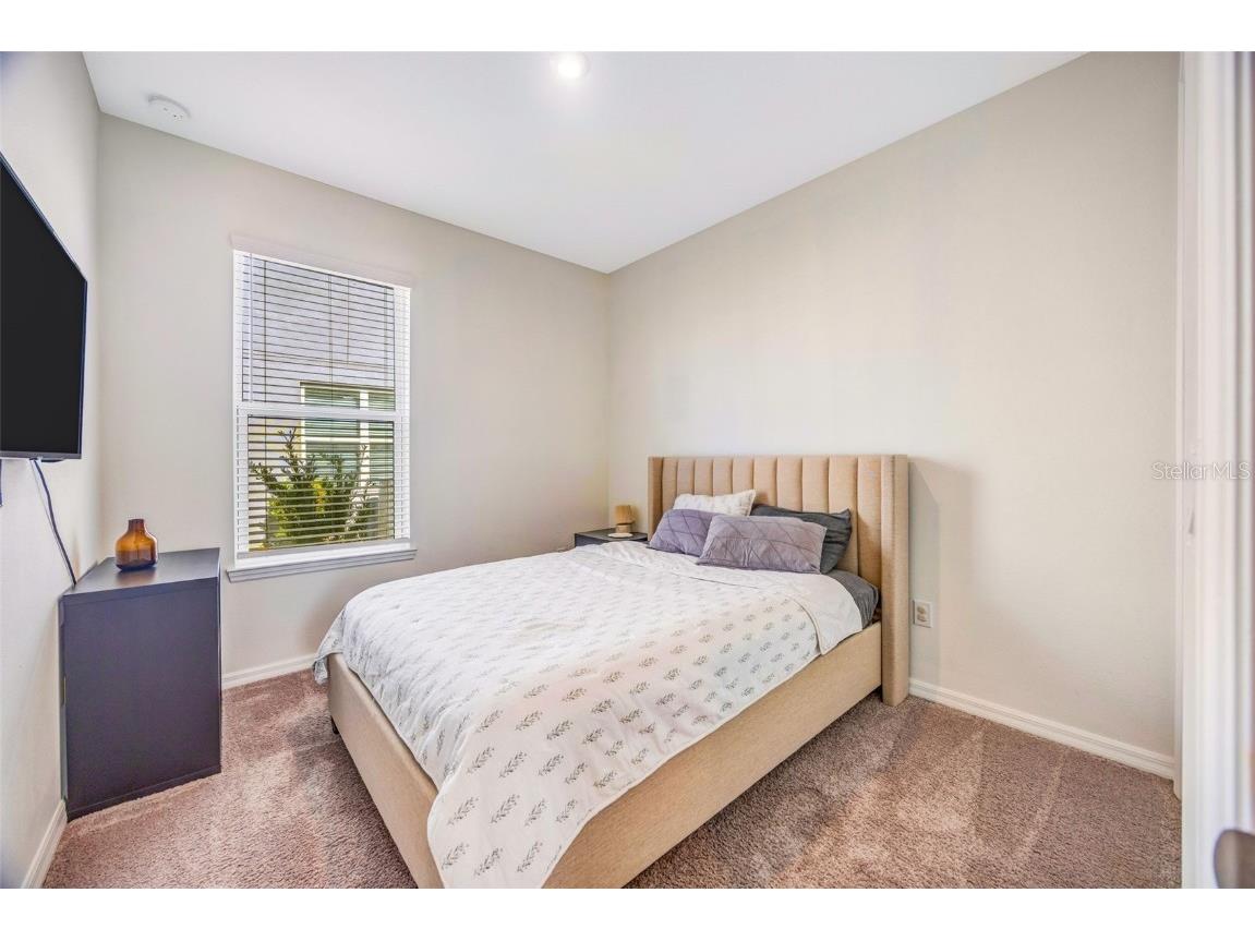 33995 Astoria Circle Wesley Chapel FL 33545 TB8452869 image25