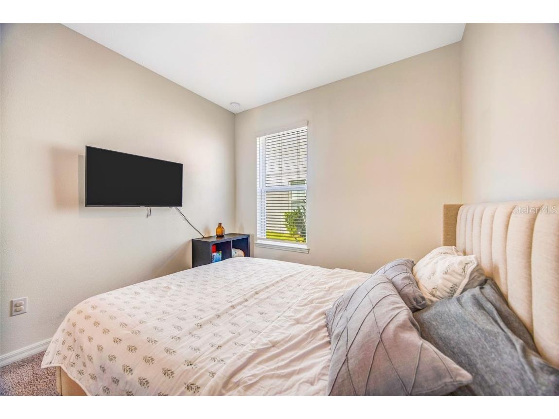 33995 Astoria Circle Wesley Chapel FL 33545 TB8452869 image26