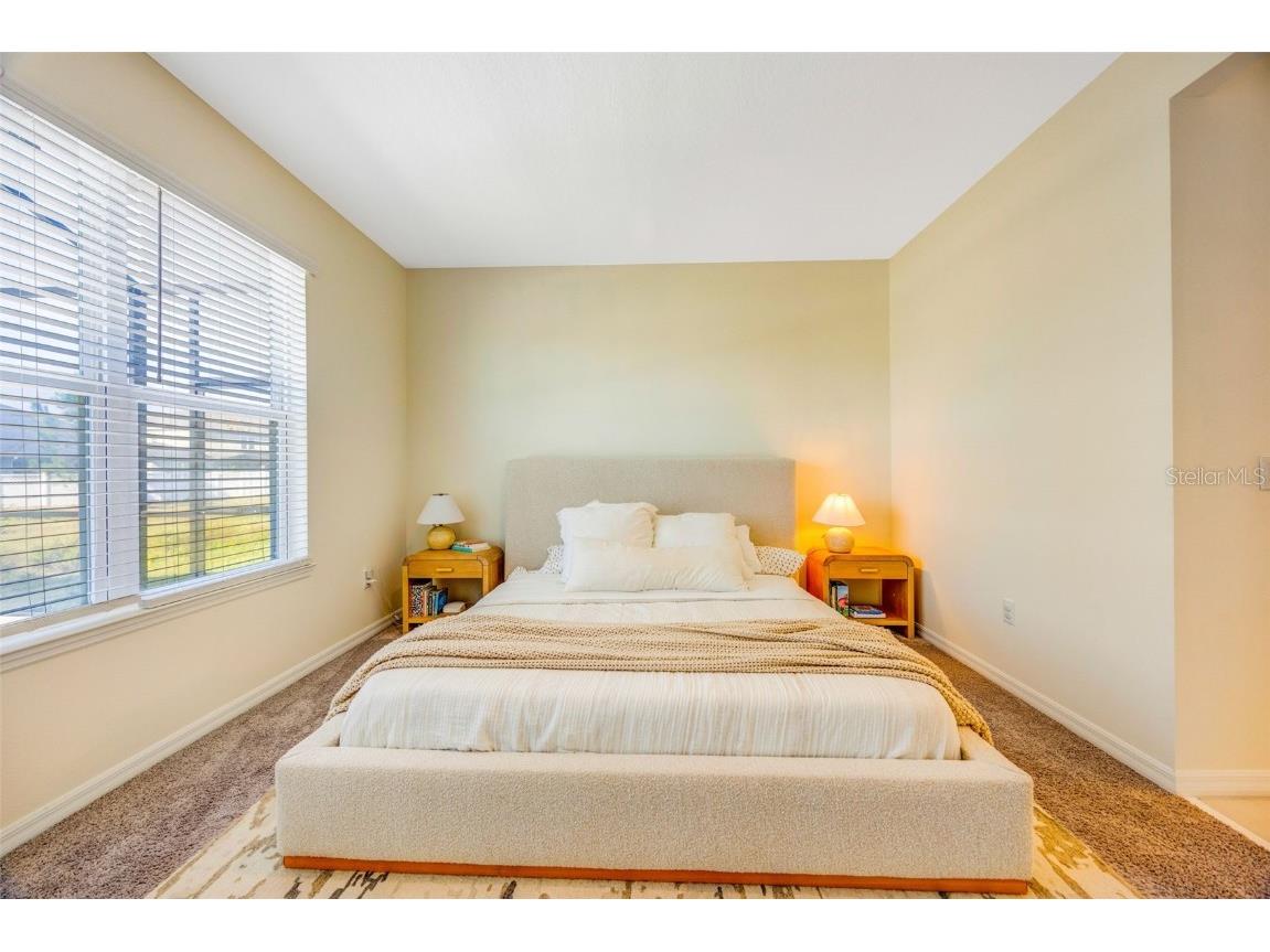 33995 Astoria Circle Wesley Chapel FL 33545 TB8452869 image28