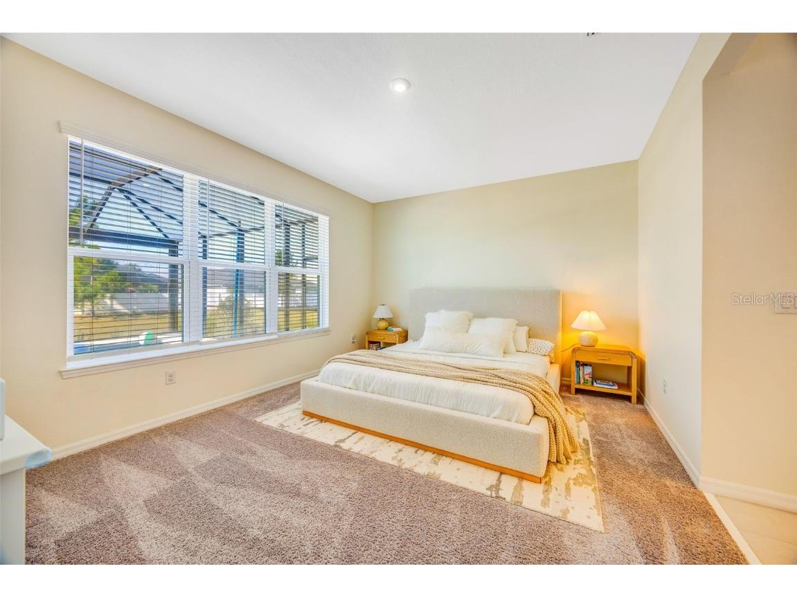 33995 Astoria Circle Wesley Chapel FL 33545 TB8452869 image29