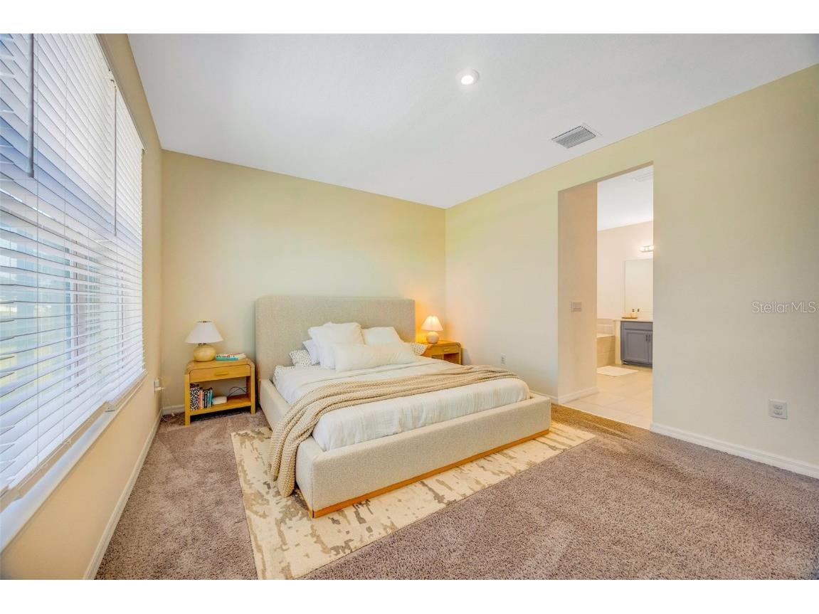 33995 Astoria Circle Wesley Chapel FL 33545 TB8452869 image30