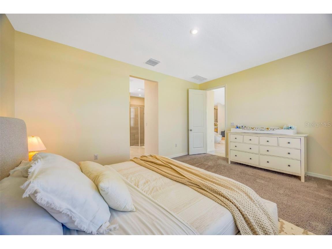 33995 Astoria Circle Wesley Chapel FL 33545 TB8452869 image31