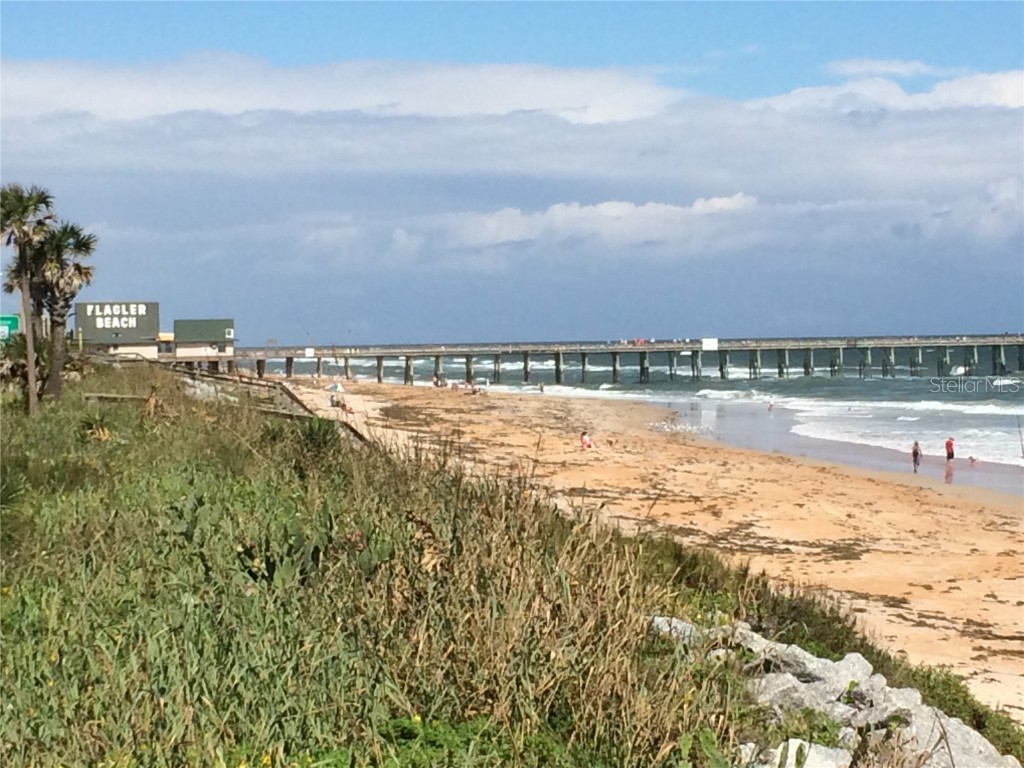 34 Brian Lane Palm Coast FL 32137 FC313987 image10