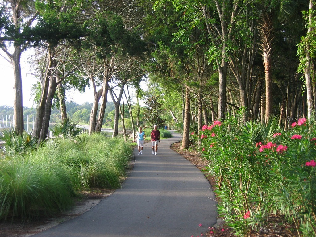 34 Brian Lane Palm Coast FL 32137 FC313987 image8