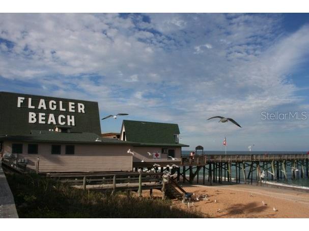 34 Brian Lane Palm Coast FL 32137 FC313987 image9