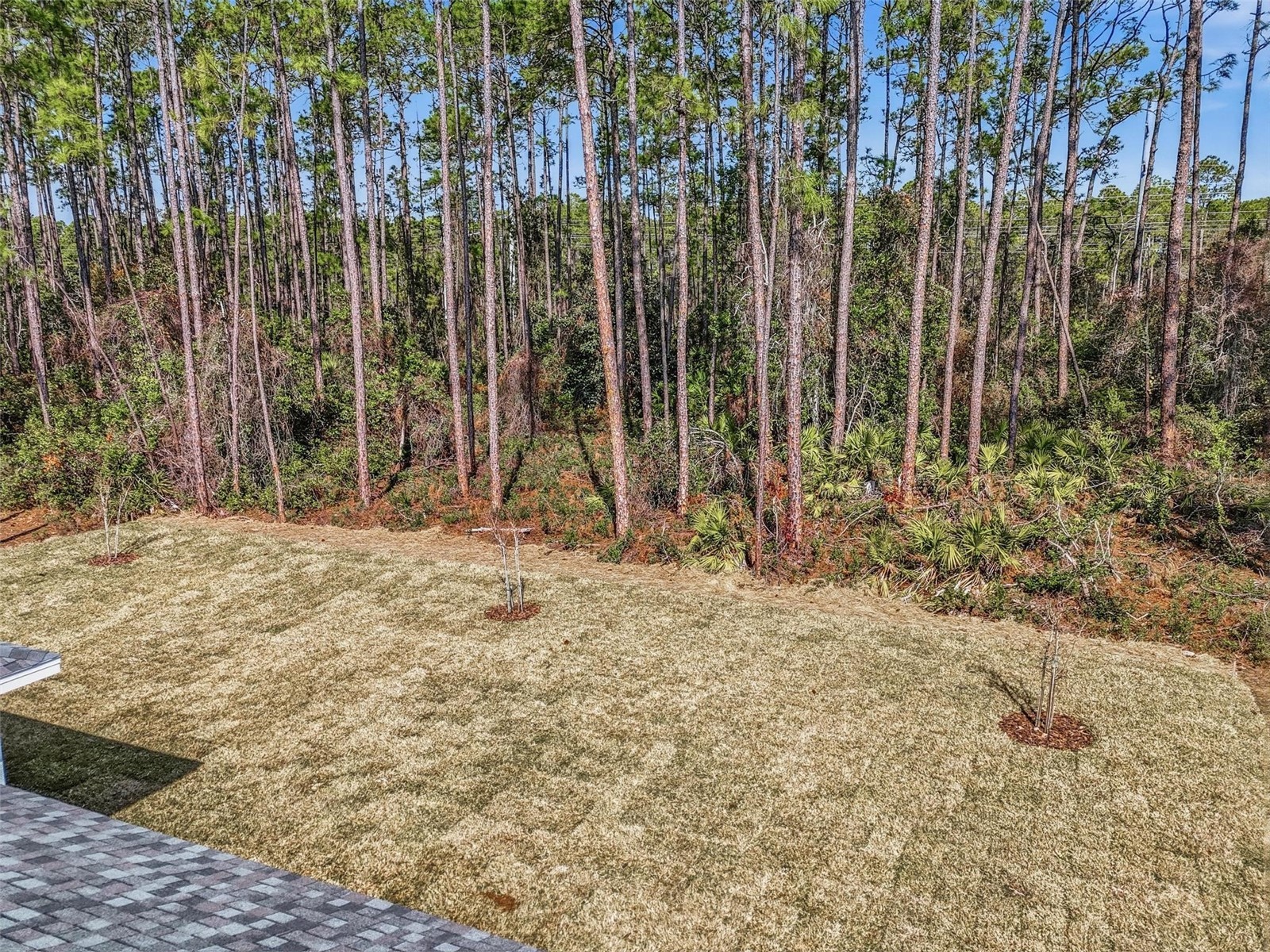 34 Ethan Allen Drive Palm Coast FL 32164 FC313866 image13