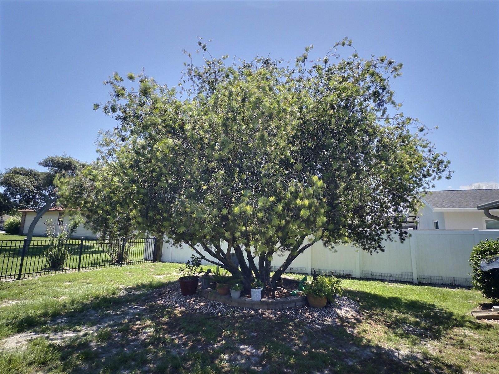 34 Felter Lane Palm Coast FL 32137 FC318582 image8