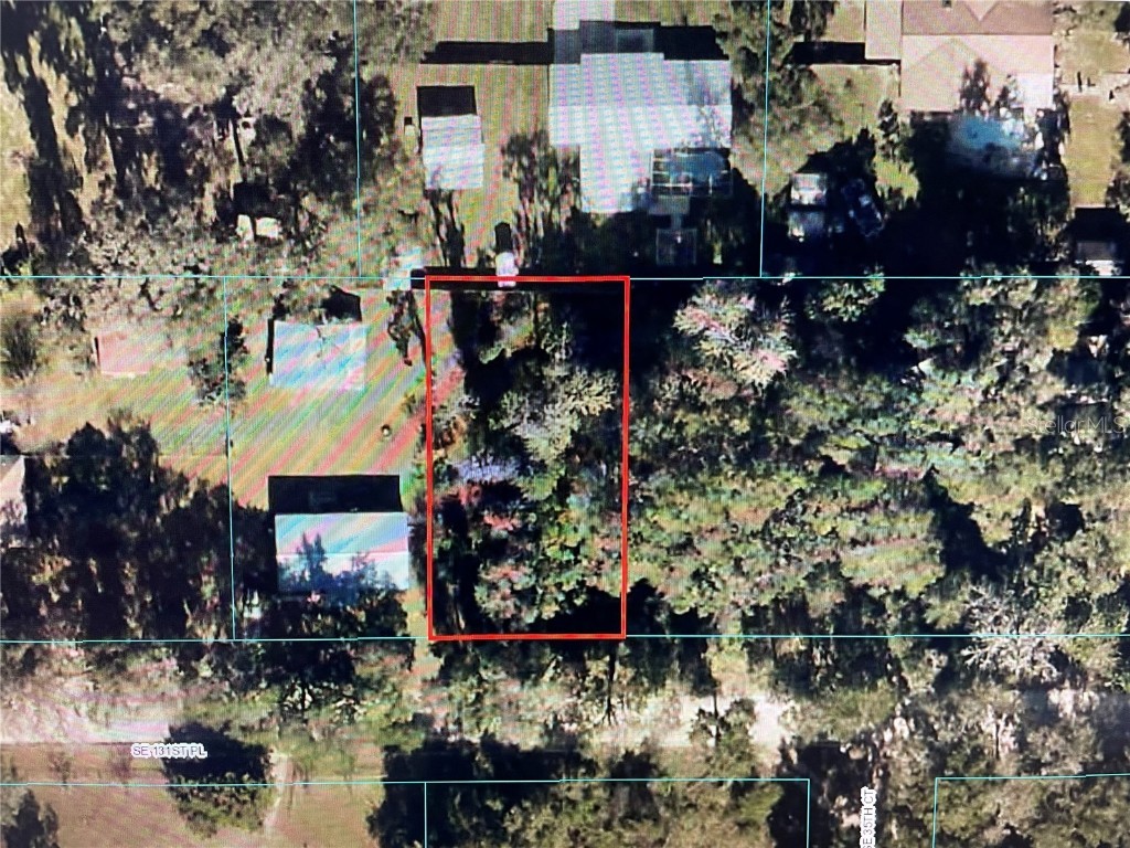 34 SE 131 Place Belleview FL 34420 OM654341 image1