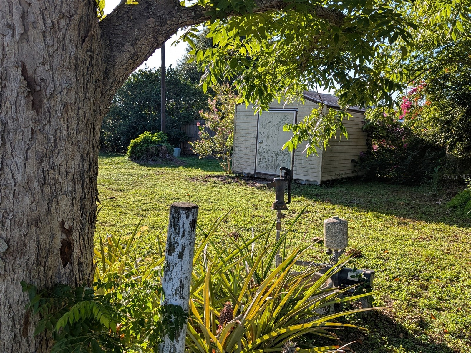 34 Sevilla Avenue Arcadia FL 34266 C7527776 image39