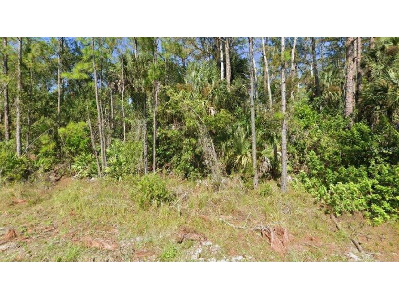 340-342 Reeves Street #342 Lehigh Acres FL 33972 C7482012 image1