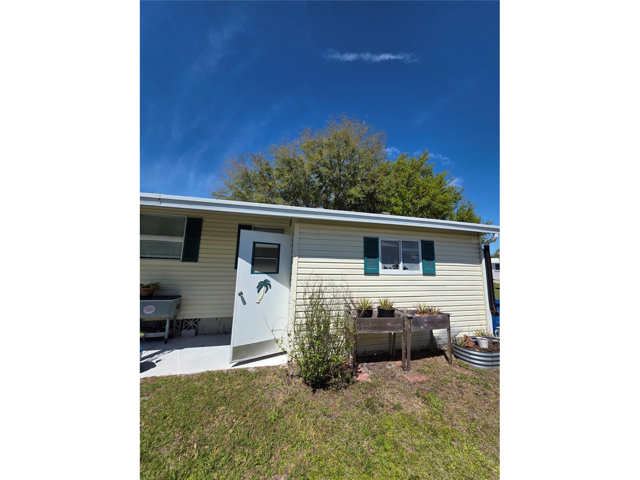 340 Canal Way Oldsmar FL 34677 TB8491525 image24