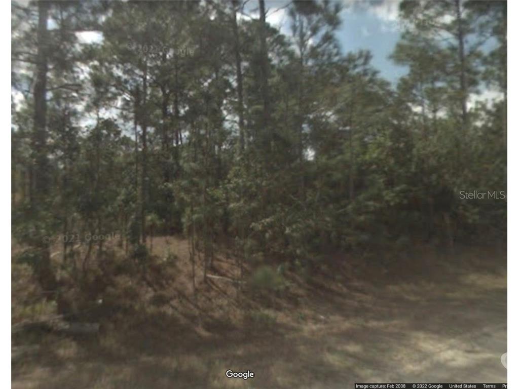 340 Dreamers Drive Lake Placid FL 33852 L4930618 image1