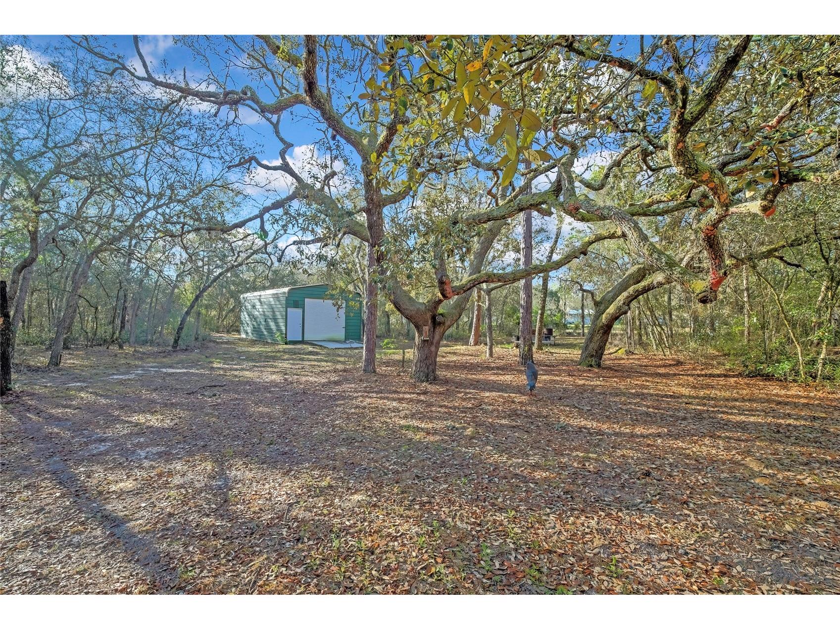 340 E Savoy Street Lecanto FL 34461 G5109133 image57