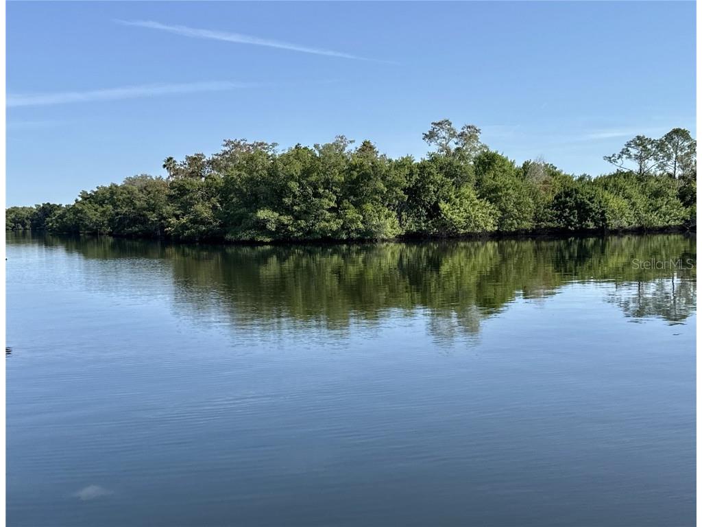 340 Mount Oak Avenue NE #754 Saint Petersburg FL 33702 - TAMPA BAY TB8454044 image1