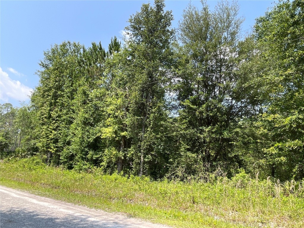 340 NE Penola Way Lake City FL 32055 O6121357 image1