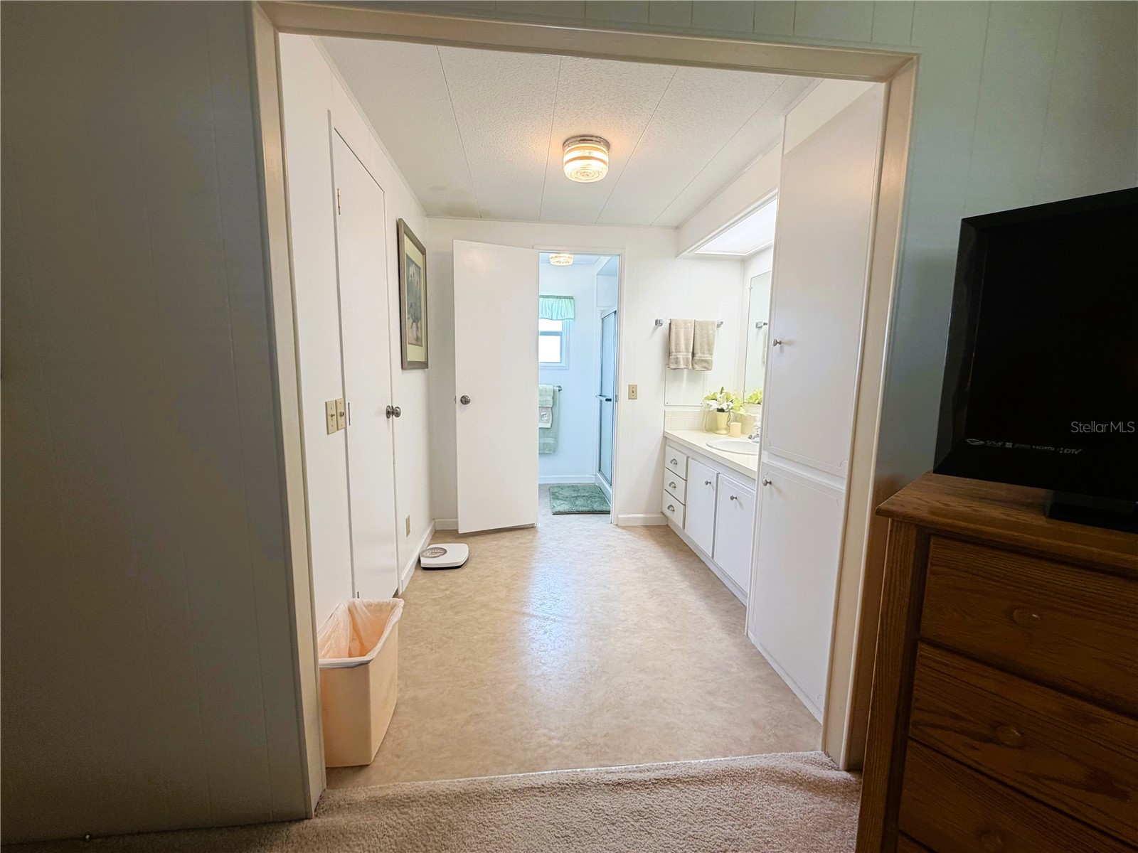 340 Palo Verde Drive Leesburg FL 34748 R4911245 image28