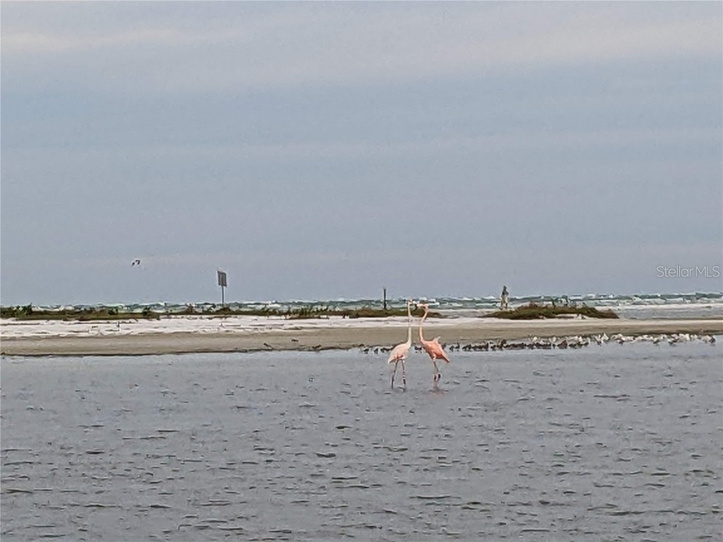 340 Pinellas Bayway S #304 Saint Petersburg FL 33715 - THE GRAND CANAL TB8399115 image31