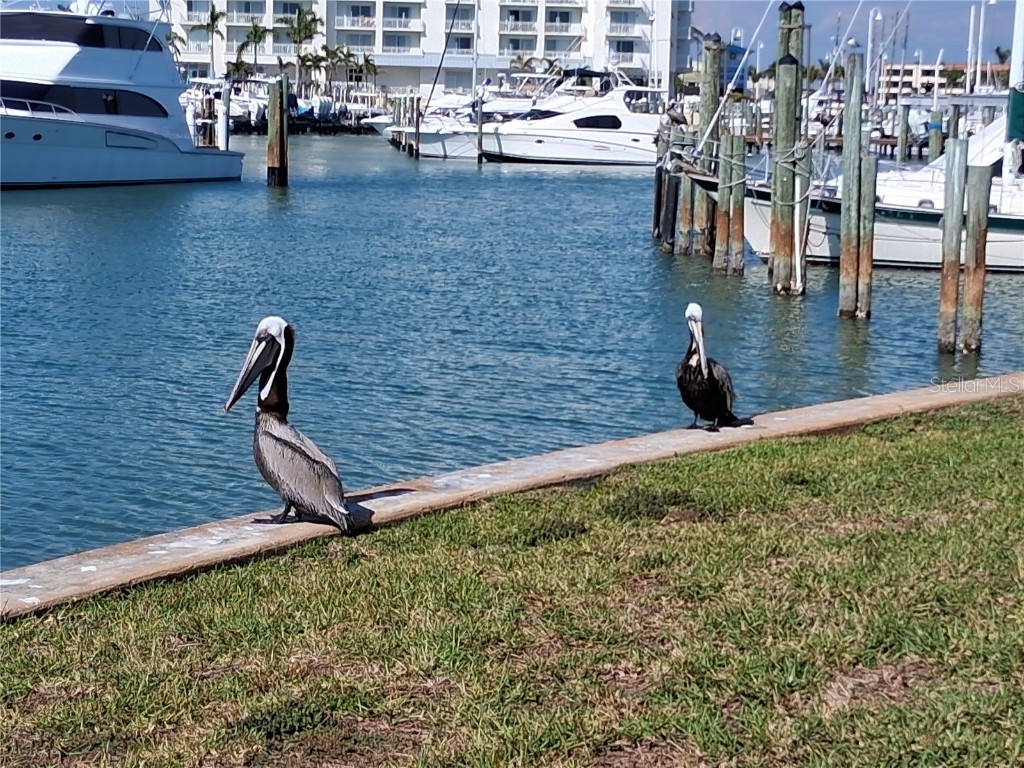 340 Pinellas Bayway S #304 Saint Petersburg FL 33715 - THE GRAND CANAL TB8399115 image32