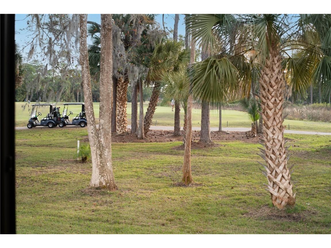 340 Wellington Drive Palm Coast FL 32164 FC314381 image59