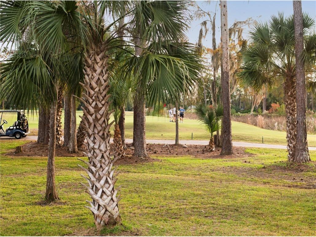 340 Wellington Drive Palm Coast FL 32164 FC314381 image60