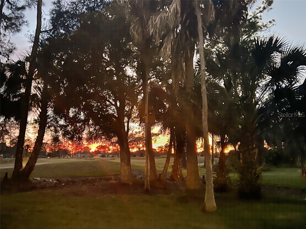 340 Wellington Drive Palm Coast FL 32164 FC314381 image62