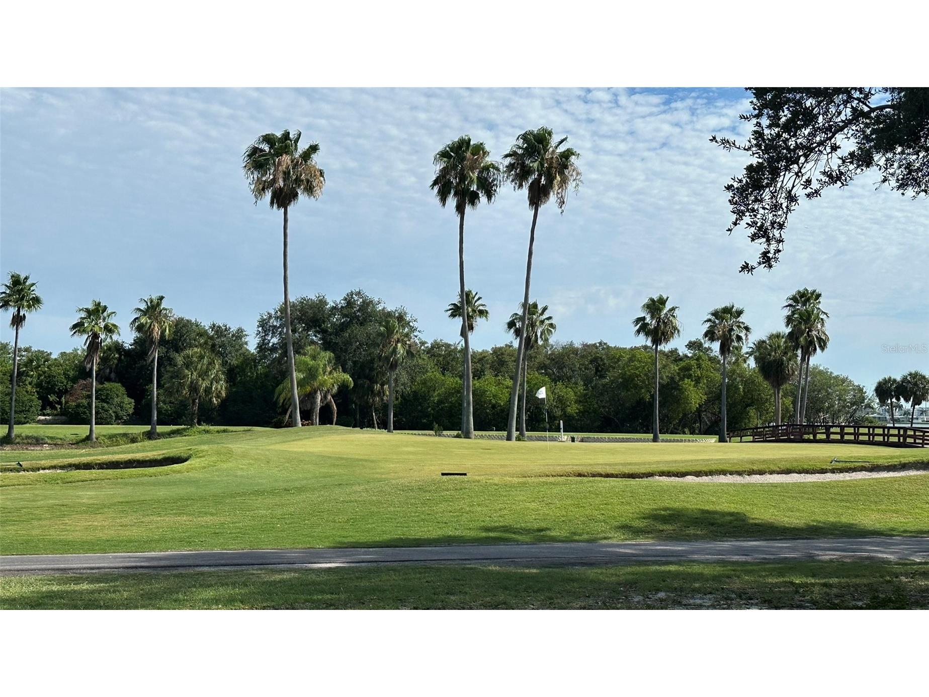 3400 Cove Cay Drive #4E Clearwater FL 33760 - TAMPA BAY-BAYSIDE BRIDGE TB8518074 image38