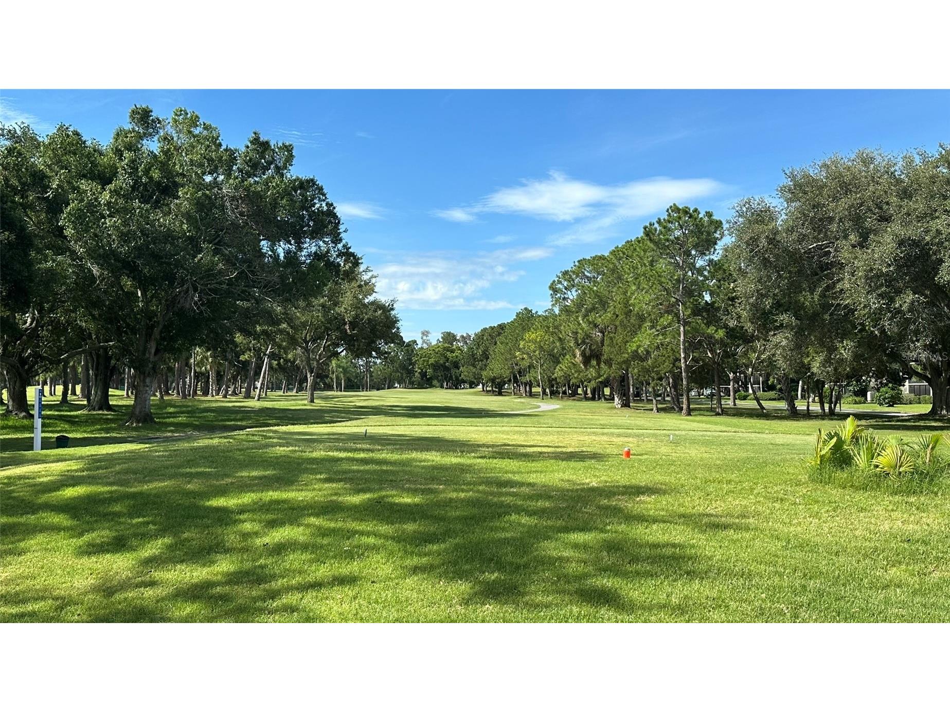 3400 Cove Cay Drive #4E Clearwater FL 33760 - TAMPA BAY-BAYSIDE BRIDGE TB8518074 image50