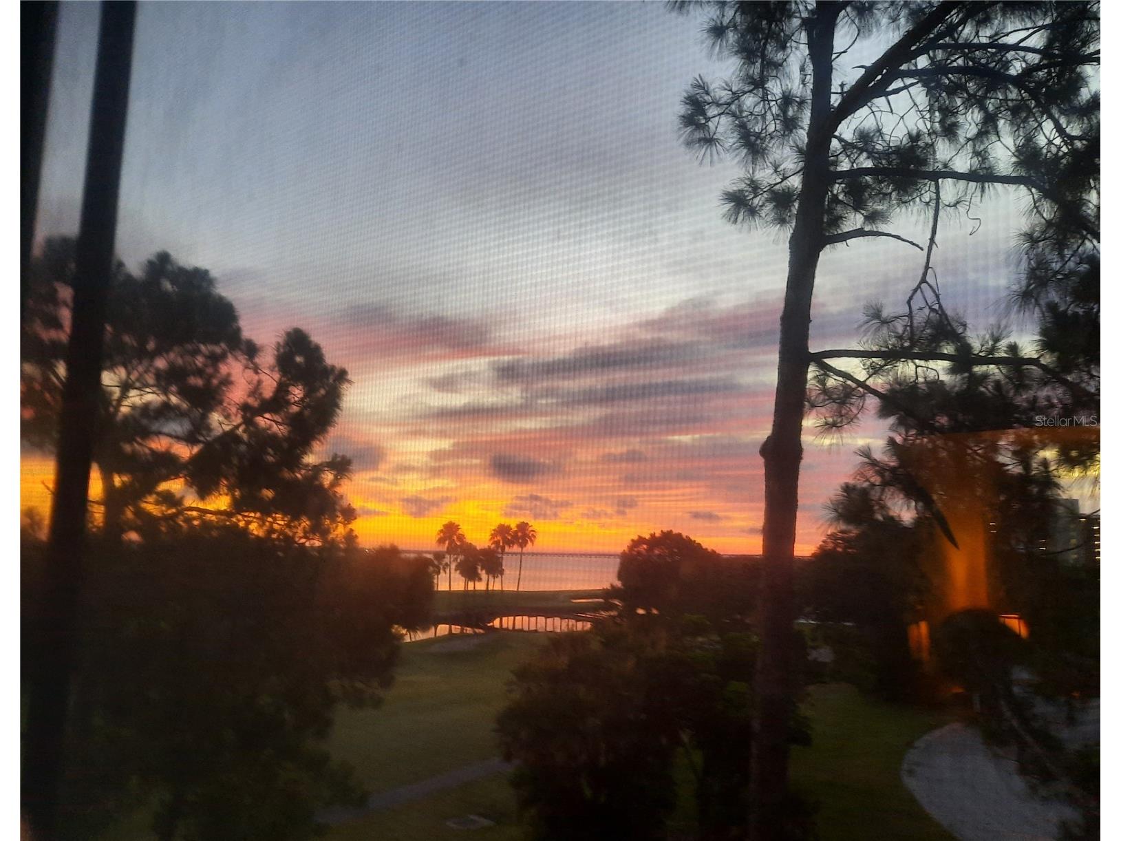 3400 Cove Cay Drive #4E Clearwater FL 33760 - TAMPA BAY-BAYSIDE BRIDGE TB8518074 image59