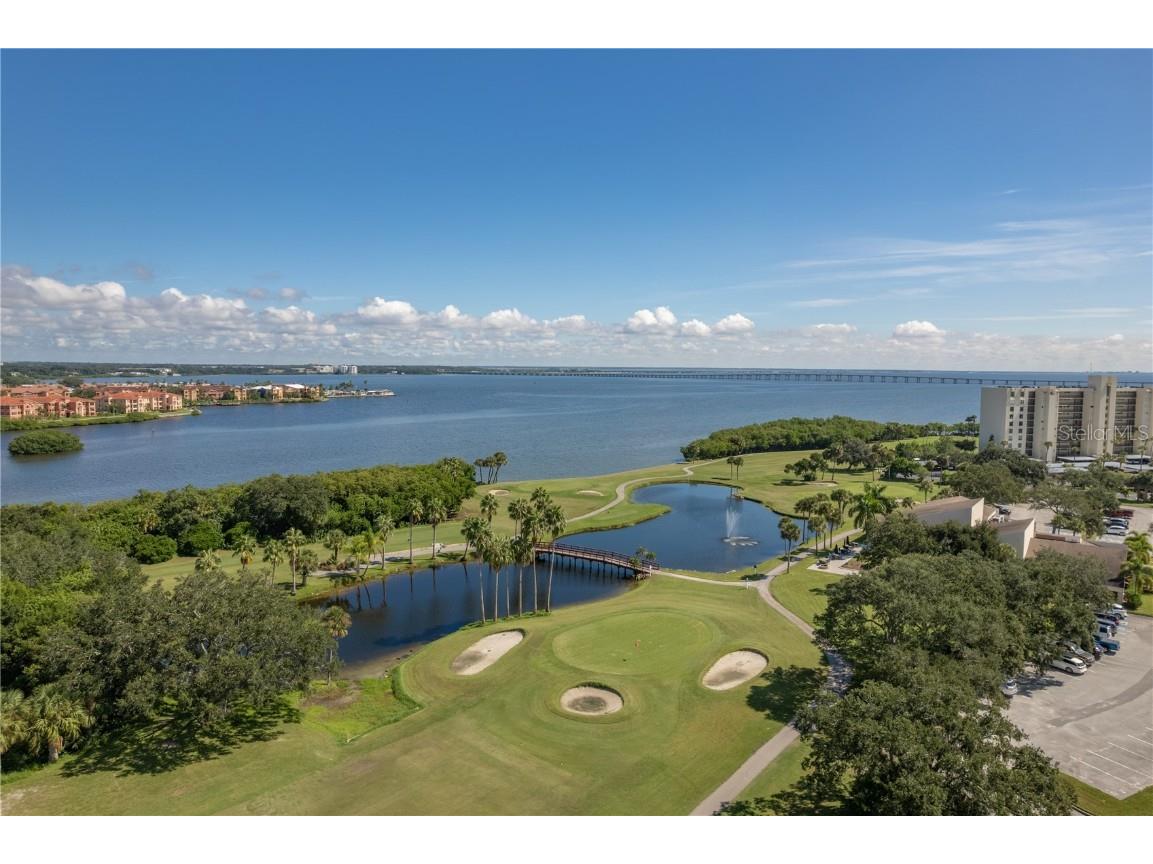 3400 Cove Cay Drive #7C Clearwater FL 33760 TB8436103 image45