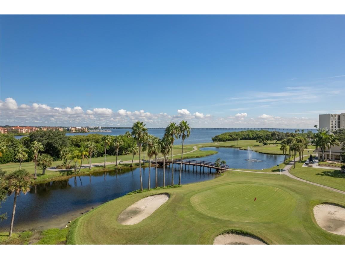 3400 Cove Cay Drive #7C Clearwater FL 33760 TB8436103 image46