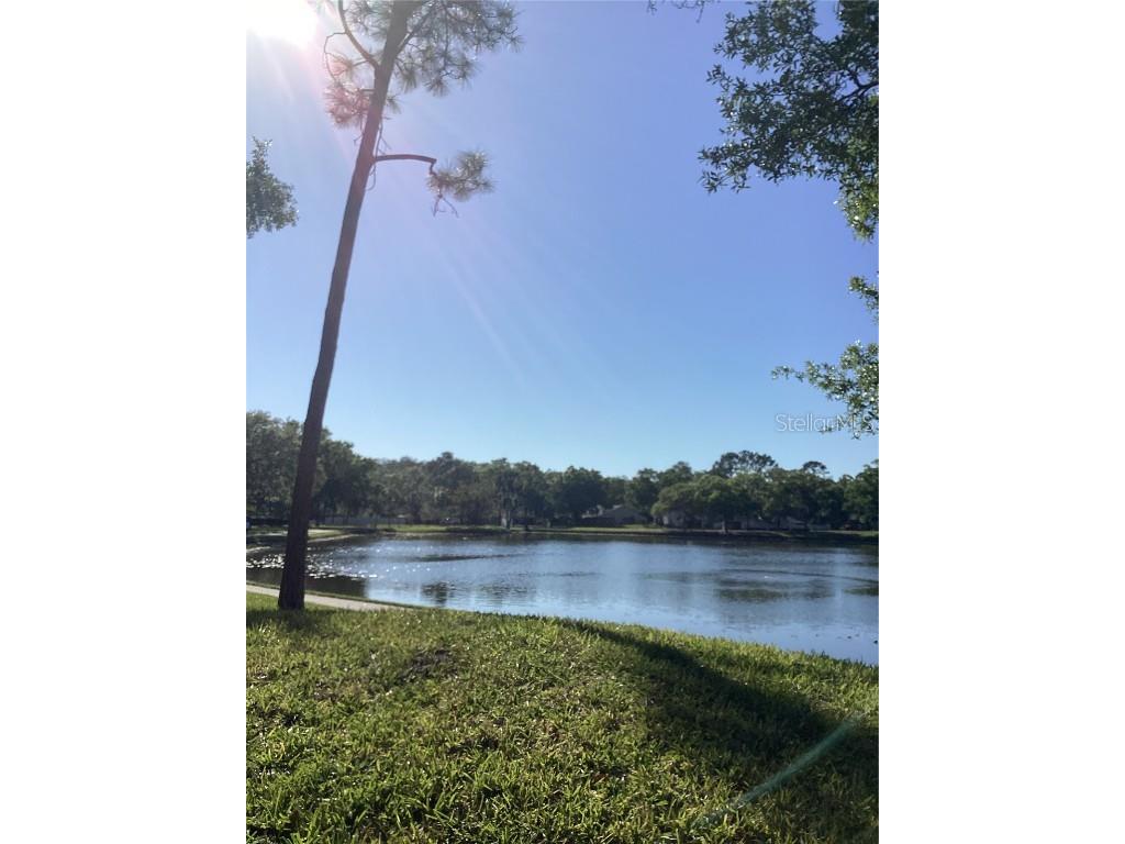 3400 Crystal Court W #H Palm Harbor FL 34685 U8194549 image1