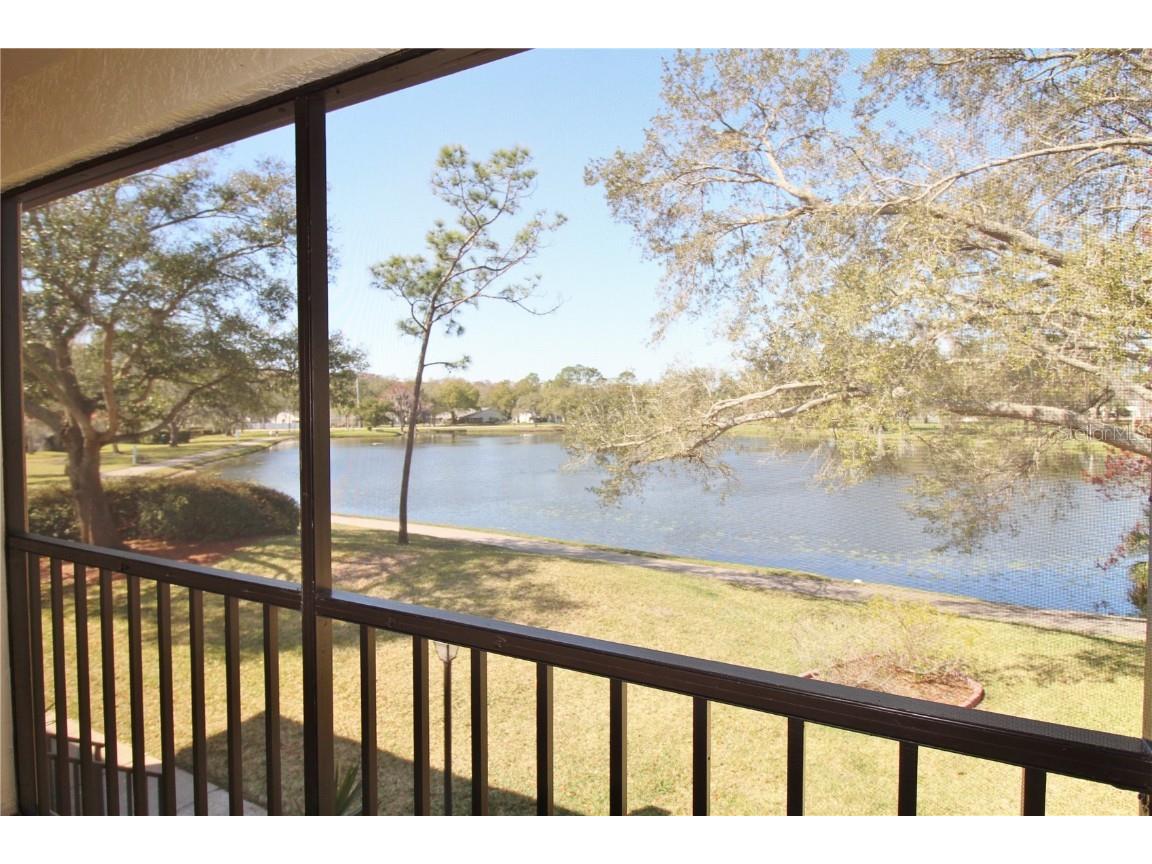 3400 Crystal Court W #O Palm Harbor FL 34685 U8229222 image1