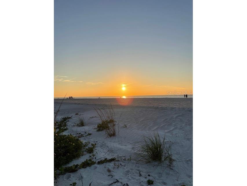 3400 Gulf Boulevard #102 Belleair Beach FL 33786 TB8458510 image27