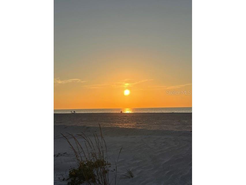 3400 Gulf Boulevard #102 Belleair Beach FL 33786 TB8458510 image3