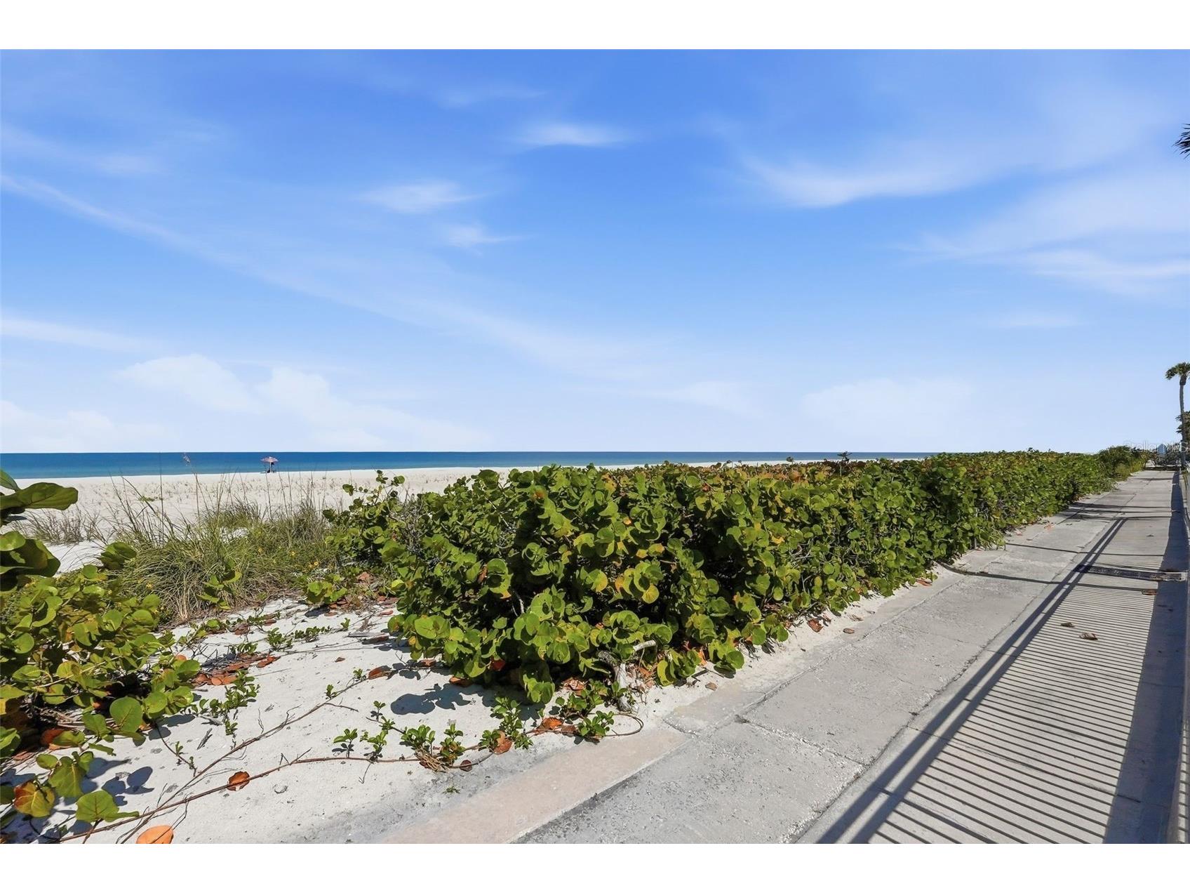 3400 Gulf Boulevard #104 Belleair Beach FL 33786 TB8496379 image31
