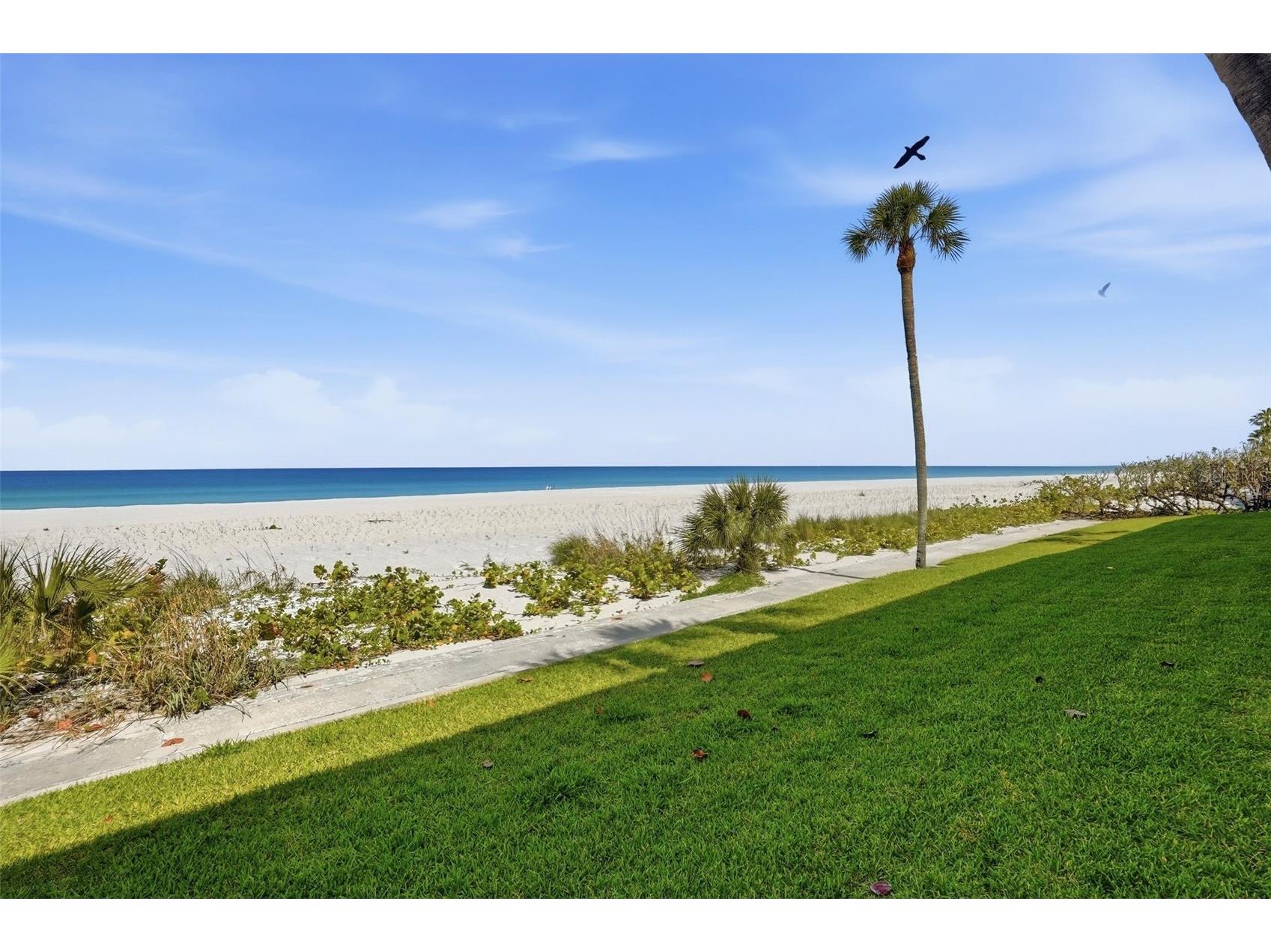 3400 Gulf Boulevard #104 Belleair Beach FL 33786 TB8496379 image32