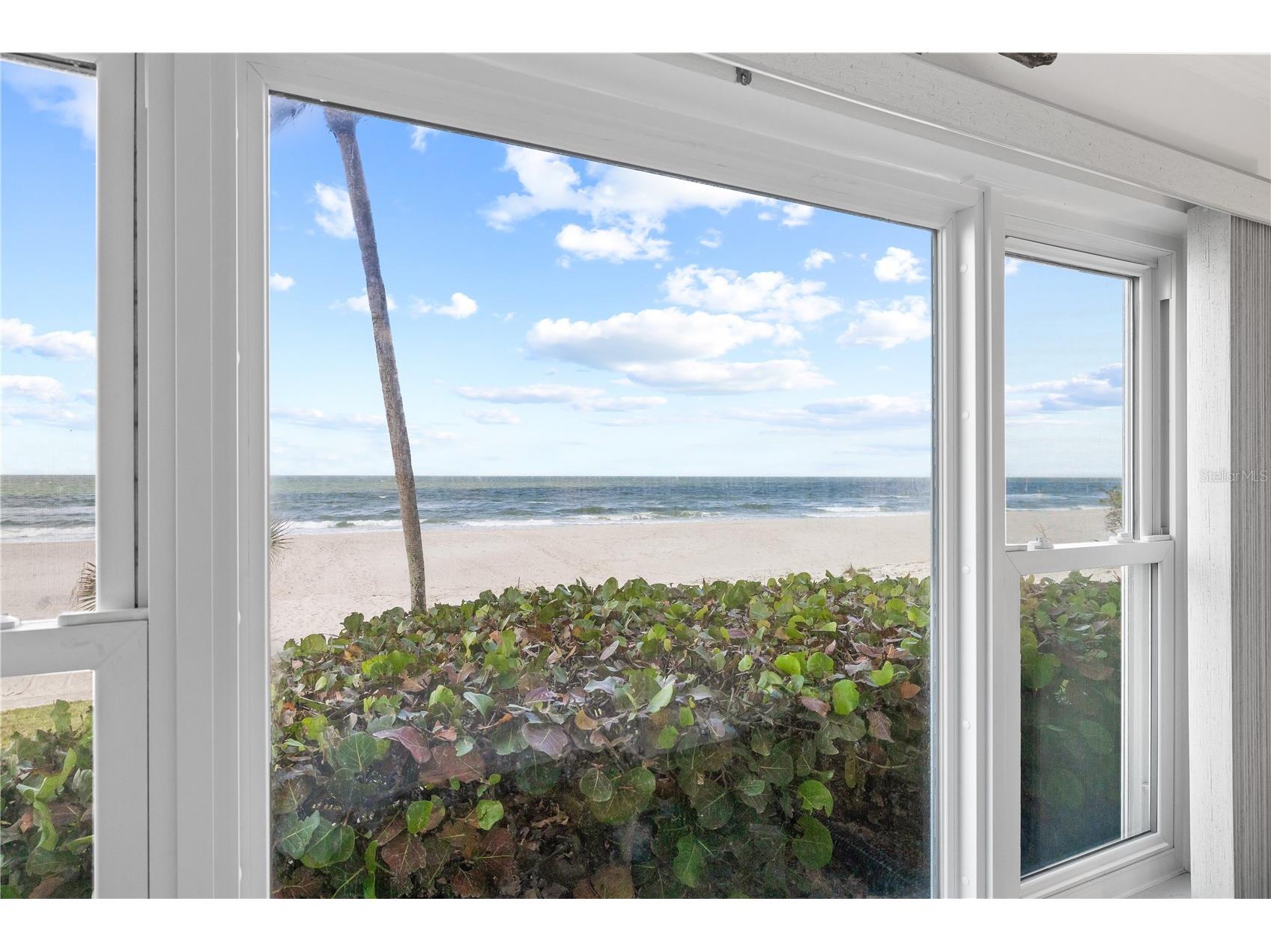 3400 Gulf Boulevard #105 Belleair Beach FL 33786 TB8434954 image33