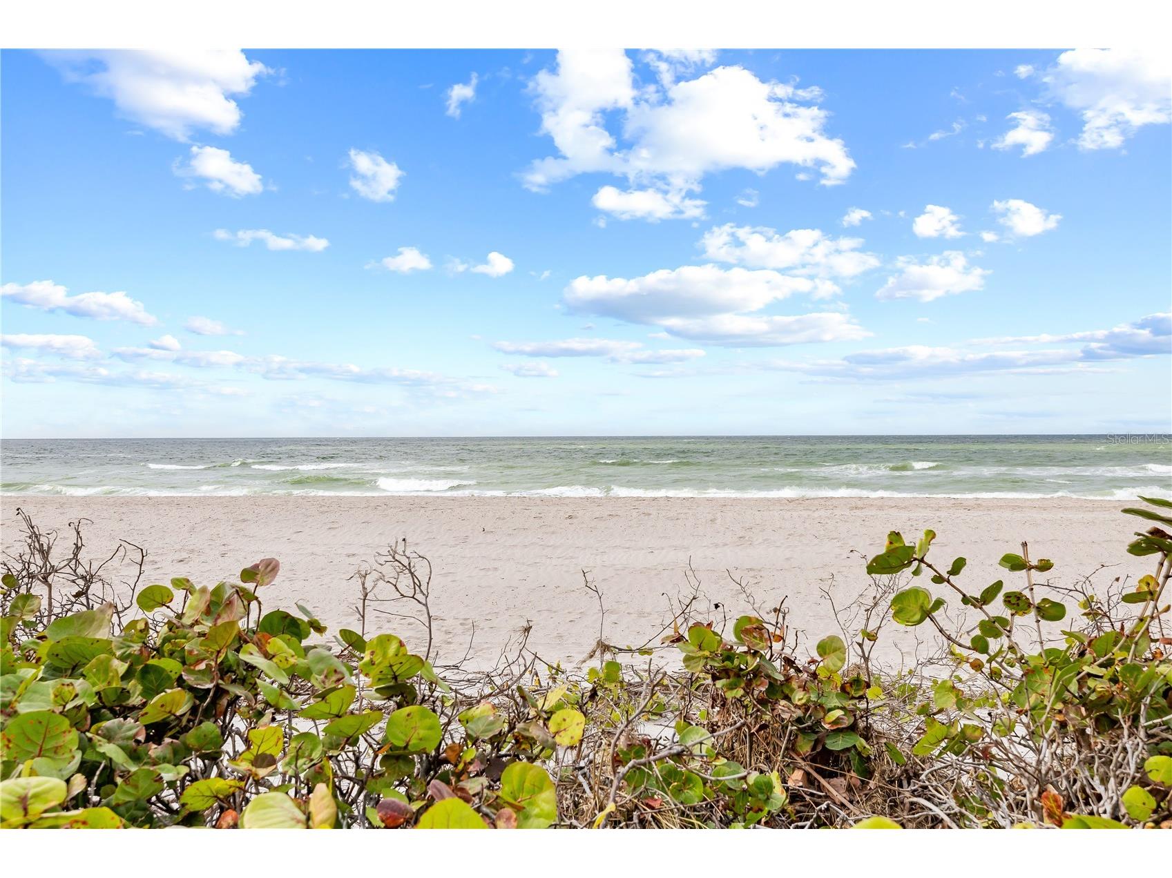 3400 Gulf Boulevard #105 Belleair Beach FL 33786 TB8434954 image45