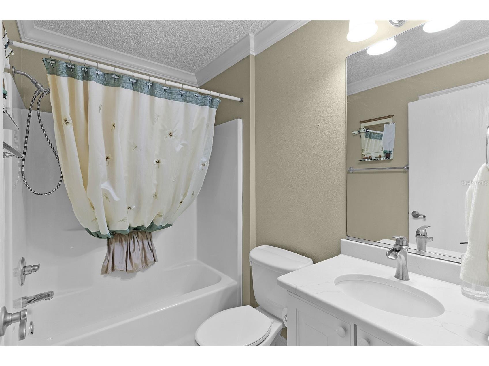 3400 Richmond Drive The Villages FL 32162 G5110335 image40