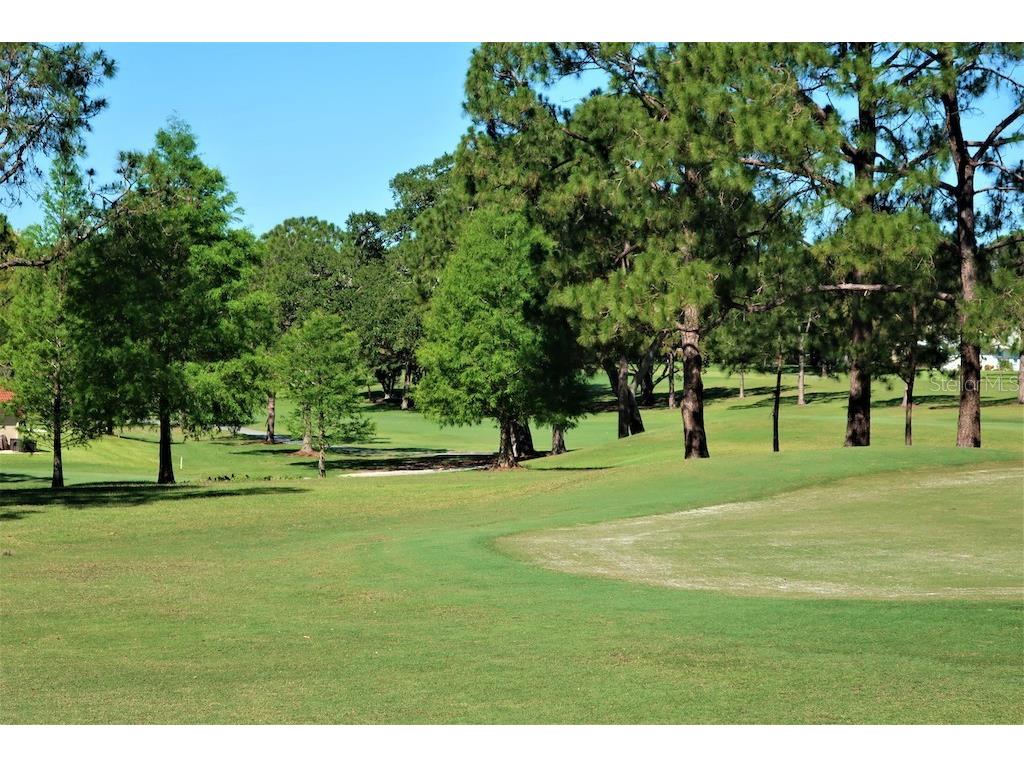 3400 Rugby Court Palm Harbor FL 34684 - LAKE TARPON TB8484795 image46