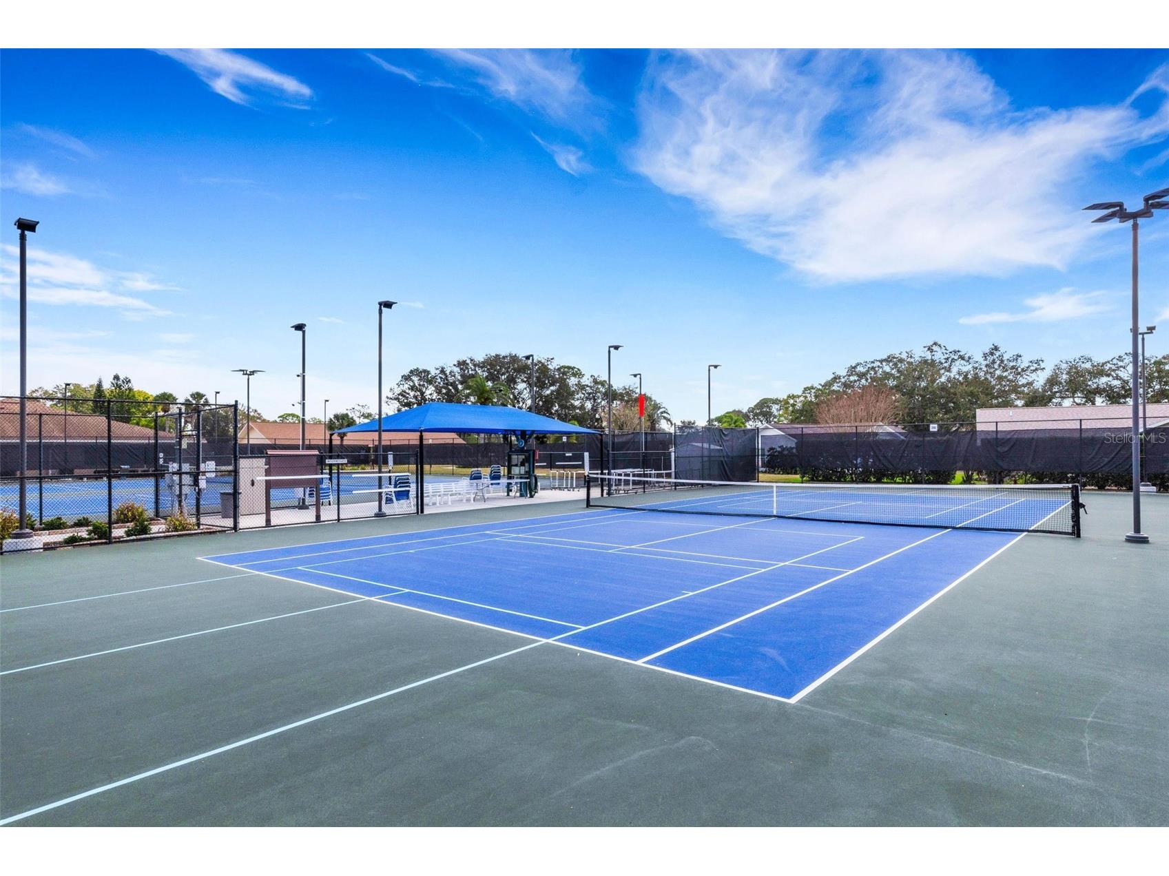 3400 Rugby Court Palm Harbor FL 34684 - LAKE TARPON TB8484795 image56